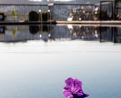 CostaFarilyaPost_1108