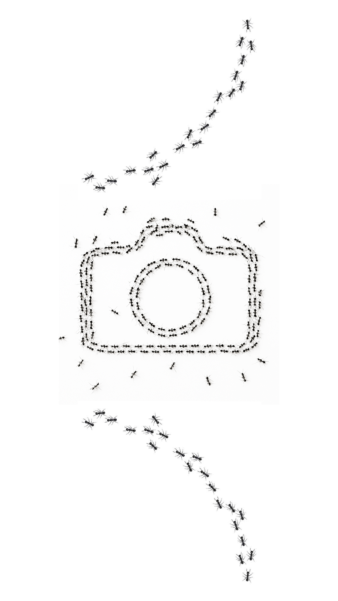 websitehizmetlerimizgorsel